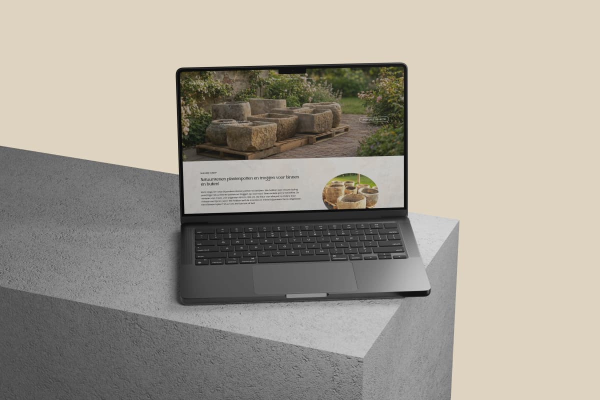 Website voorbeeld