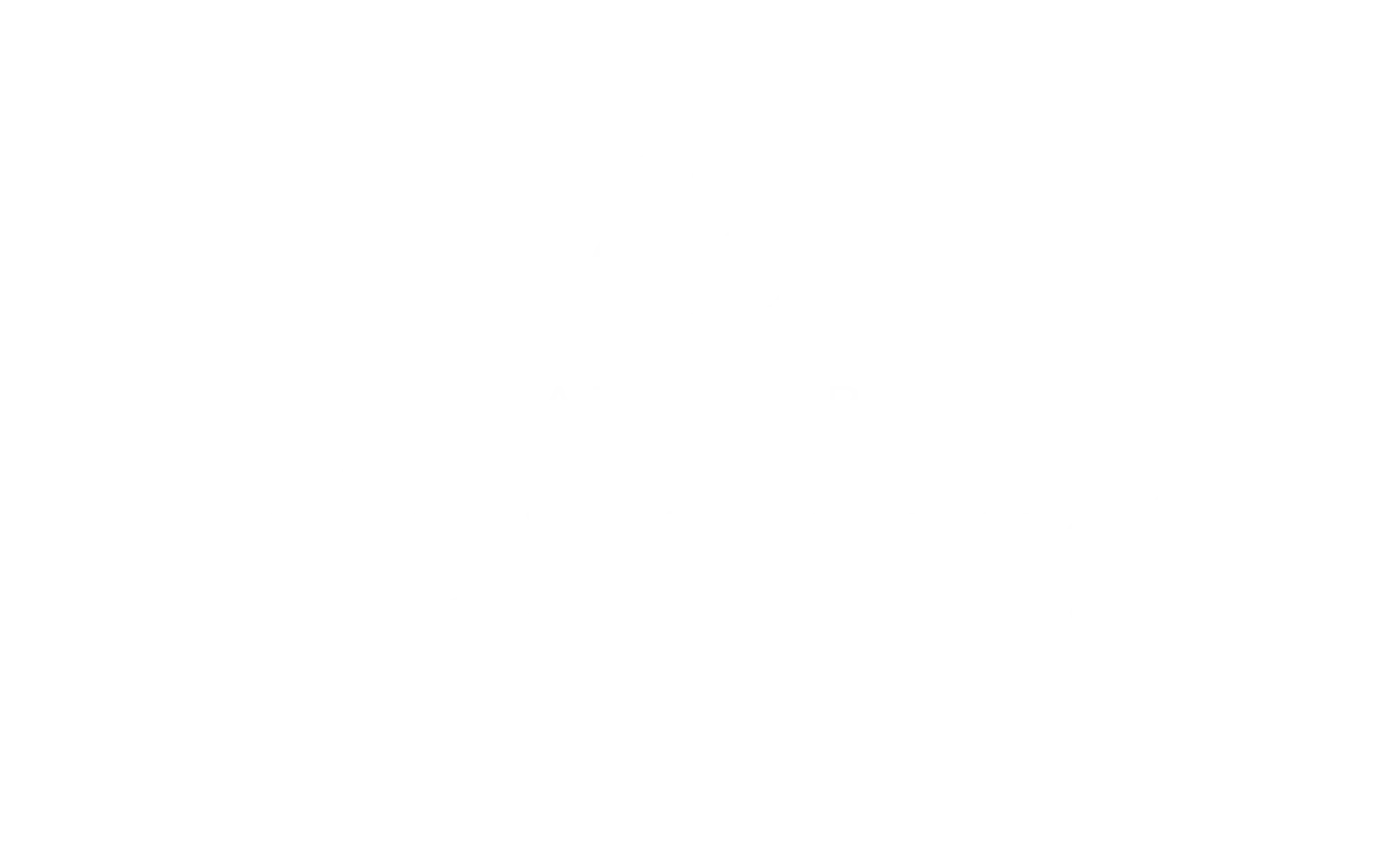 Bleijenberg logo